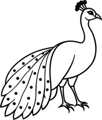 Fototapeta premium Peacock line Art Vector Illustration