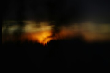 fire in the woods