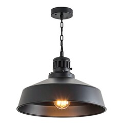 Matte black industrial pendant lamp