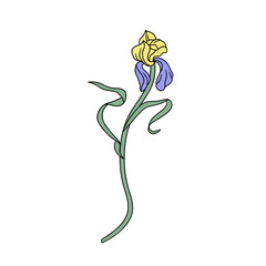Vintage art nouveau style modern hand drawn yellow and purple iris flower clip art