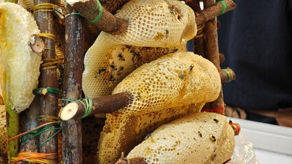 Honeycomb with beeswax and honey bees.