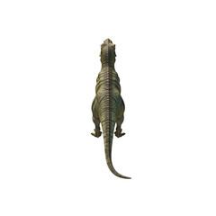 T rex white background for isolated element 