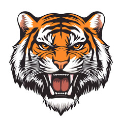 Fototapeta premium Roaring tiger head vector illustration with open mouth and sharp teeth detailed fierce big cat face on white background