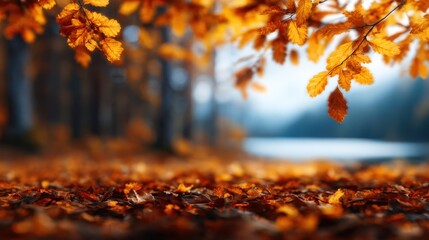 A beautiful scene capturing vibrant autumn leaves framed against a serene water surface, presenting nature's seasonal transformation and peaceful ambiance.