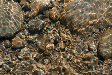 A clear stream with sunlight reflecting on rocks beneath the gentle flowing water, showcasing natural beauty.
