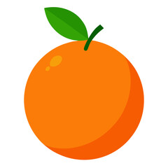 vector illustration of an orange