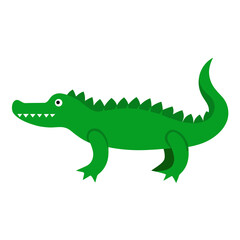 Obraz premium green iguana isolated on white