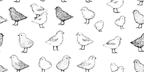 Naklejka premium Black and white line art of adorable chicks — cute pattern design for print and cards