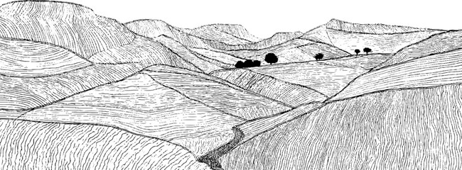 Fototapeta premium Monochrome line art of rolling hills and valleys in serene landscape design