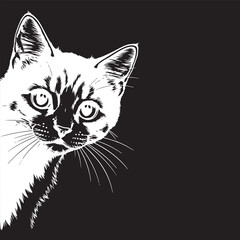 Cat Peeking Silhouette Vector