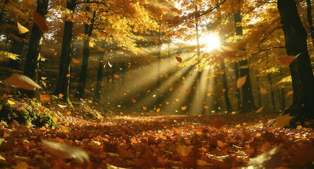 Golden Autumn Forest Sunbeams Dance Through Falling Leaves