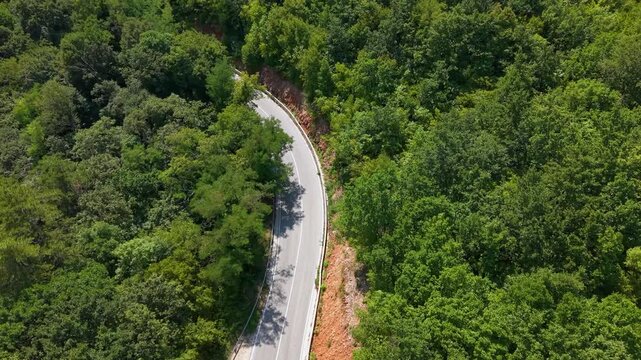 Biokovo Nature Park Dalmatia Croatia winding forest road with blue car driving through pine canopy on sunny summer day