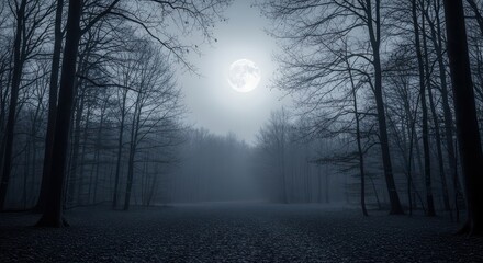 Obraz premium Enchanting Moonlight Illuminates a Foggy Forest Path