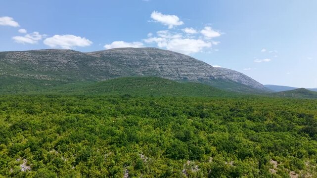 Cinematic drone flight over a vast green forest towards the majestic peak of Mount Dinara in Croatia