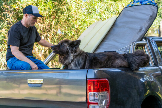 A man and his loyal dog resting on a truck with surfboards
