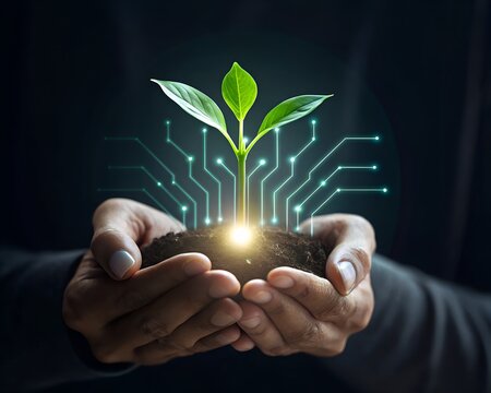 Hands holding soil with a glowing plant and digital circuit overlay symbolizing technology and growth