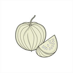 Illustration of a whole physalis fruit and a slice with seeds