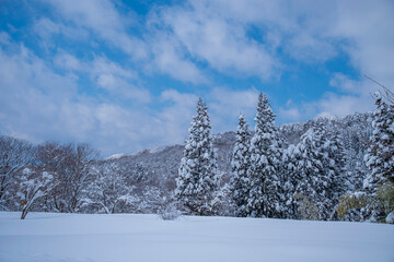 日本の鳥取県にある大山の雪景色　冬景色