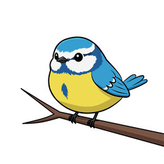 Colorful tit bird vector perched on branch. Blue and yellow songbird illustration, perfect for wildlife design, children’s art, nature logo, or educational graphic element