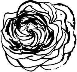 Wildflower. Ink drawn vector doodle in expressive freeform style. Perfect for websites, apps, posters, and more.