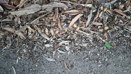 A detailed texture of dry, brown fallen leaves scattered across the ground, forming a natural carpet of autumn debris on the forest floor
