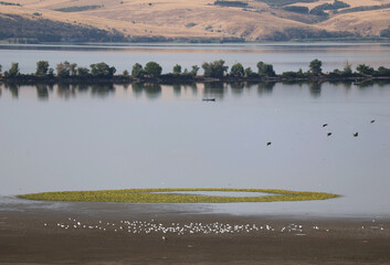 View of a large water pool with perched birds, space, sky and an island in the water
