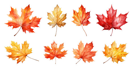 Fototapeta premium Vibrant watercolor autumn leaves collection.