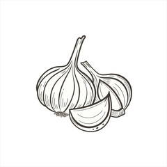 Hand drawn illustration of garlic bulbs and cloves on a white background