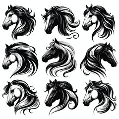  Vector image set of black and white horse heads