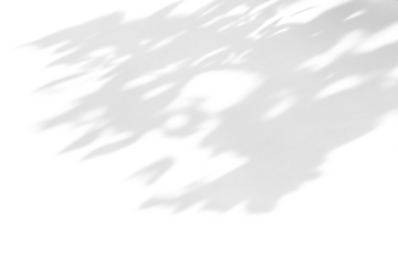 shadow overlay effects of realistic abstract natural tree leaves shadow on wall background,Summer sunlight and shadow overlay effect,abstract natural tree shadow