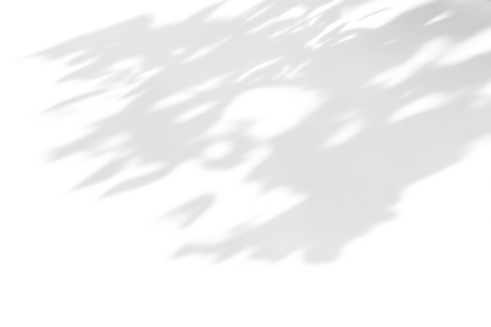 shadow overlay effects of realistic abstract natural tree leaves shadow on wall background,Summer sunlight and shadow overlay effect,abstract natural tree shadow - Powered by Adobe