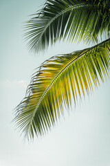 Fototapeta premium Dia De Los Muertos - Mexico