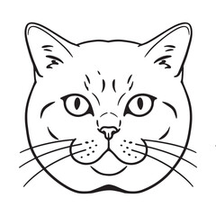Simple Line Drawing of a Cat's Face with Whiskers and Big Eyes, Vector Illustration