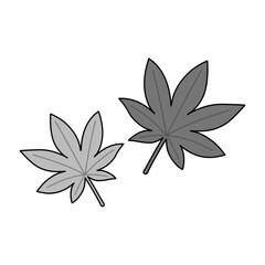 Monochrome Hand-drawn Autumn Maple Leaves Illustration