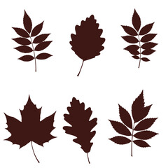 Collection of six different autumn leaf silhouettes with detailed veins and shapes for seasonal designs and fall decor isolated on white background Vector Illustration