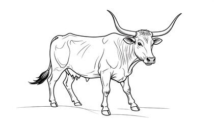 Obraz premium Black and white line drawing of a longhorn cattle