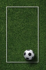 A classic black and white soccer ball rests on a lush green field, centrally positioned within a thin, rectangular white frame