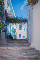 Rue colorée à Sidi Bou Saïd, village coloré en bleu et blanc, et touristique de Tunisie.	