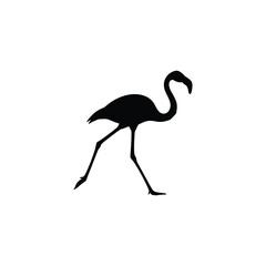 Fototapeta premium Flamingo walking silhouette