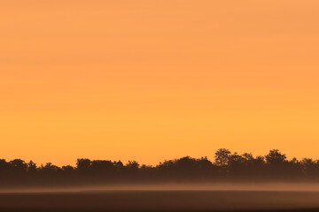 dawn, golden hour, before sunrise, background, texture, horizon, line, space, green, black, colored, warm, summer, real photo