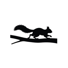 Squirrel running along branch silhouette