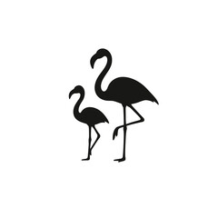 Two flamingos standing pair silhouette