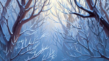 Winter forest pathway