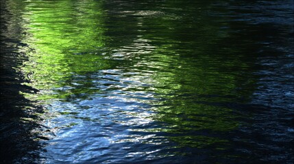 Water surface reflection of trees