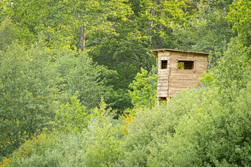 hunting stand, hidden in the bushes, hunting, hunter, hideout, wooden, made of boards, forest, elevated position