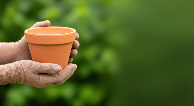 Gardener's hands holding an empty terracotta pot ready for planting a concept for gardening hobbies spring planting and horticulture blogs with clean background for copy space