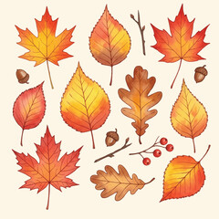 Fototapeta premium watercolor set autumn leaves elements