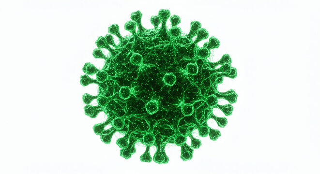 Detailed 3D rendering of a green coronavirus particle, a microscopic view of a virus with spike proteins against a white background