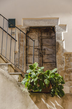 View of an old weathered wooden door framed by stone, adorned with a vibrant green potted plant, next to stairs with metal railing, Anversa degli Abruzzi, Abruzzo, Italy.