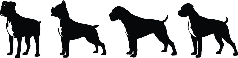 Silhouette illustration of four standing boxer dogs in different poses, black outline on white background, strong muscular breed, vector design for pet graphics